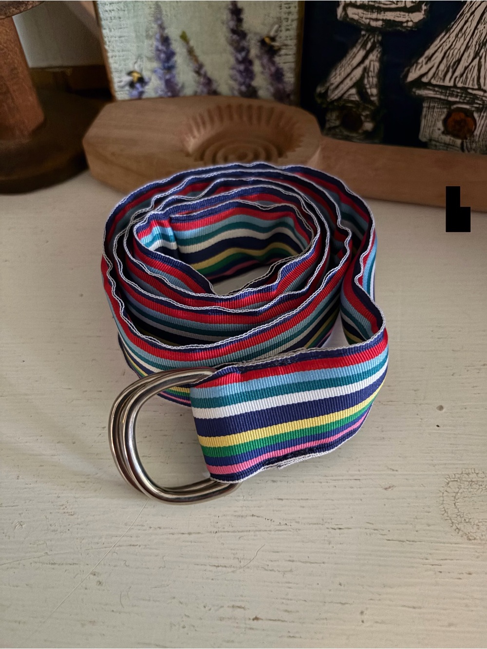Elza B. Men's Multi-Stripe D-Ring Webbing Belt - Colorful Stripes